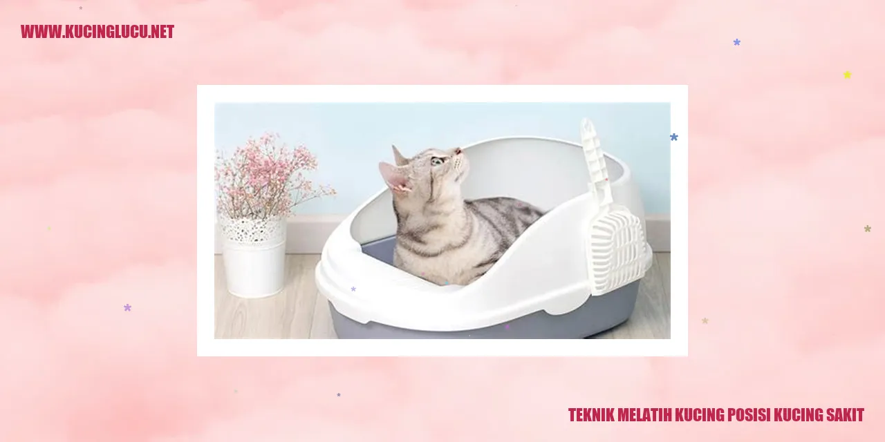 Ilustrasi Kucing Sedang Sakit