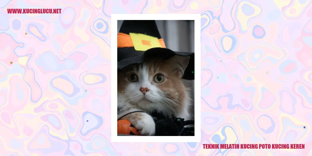 Kucing Istimewa