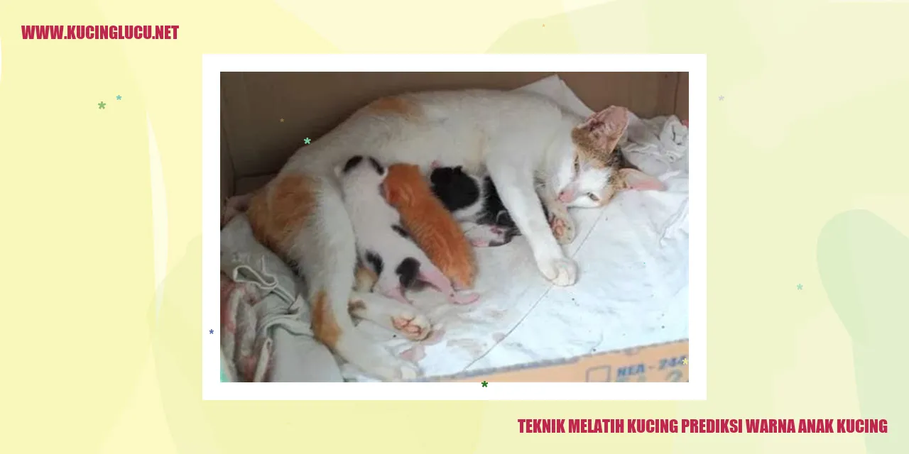 Gambar Teknik Melatih Kucing prediksi warna anak kucing