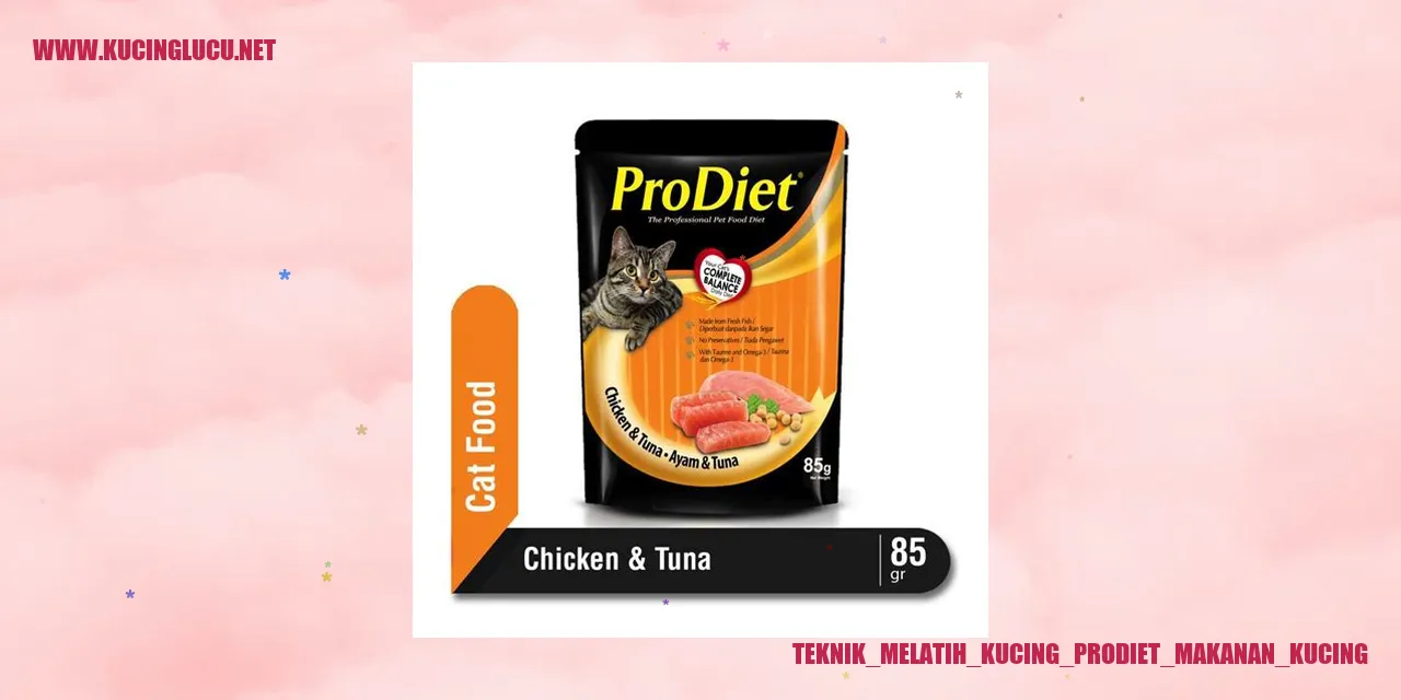 Ilustrasi Kucing Makanan