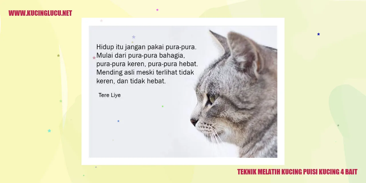 gambar kucing