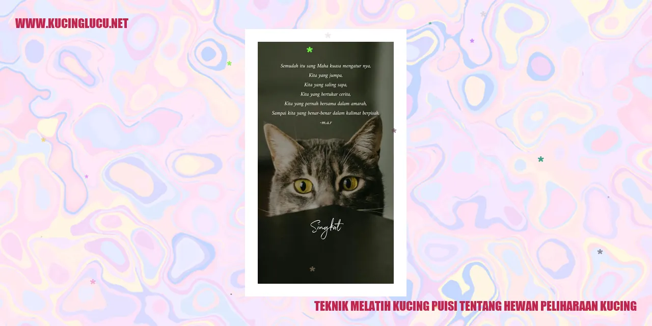 kucing