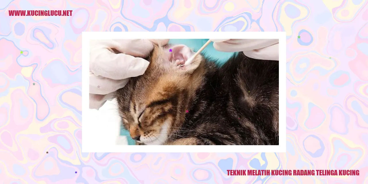 Melatih Kucing dengan Radang Telinga Kucing