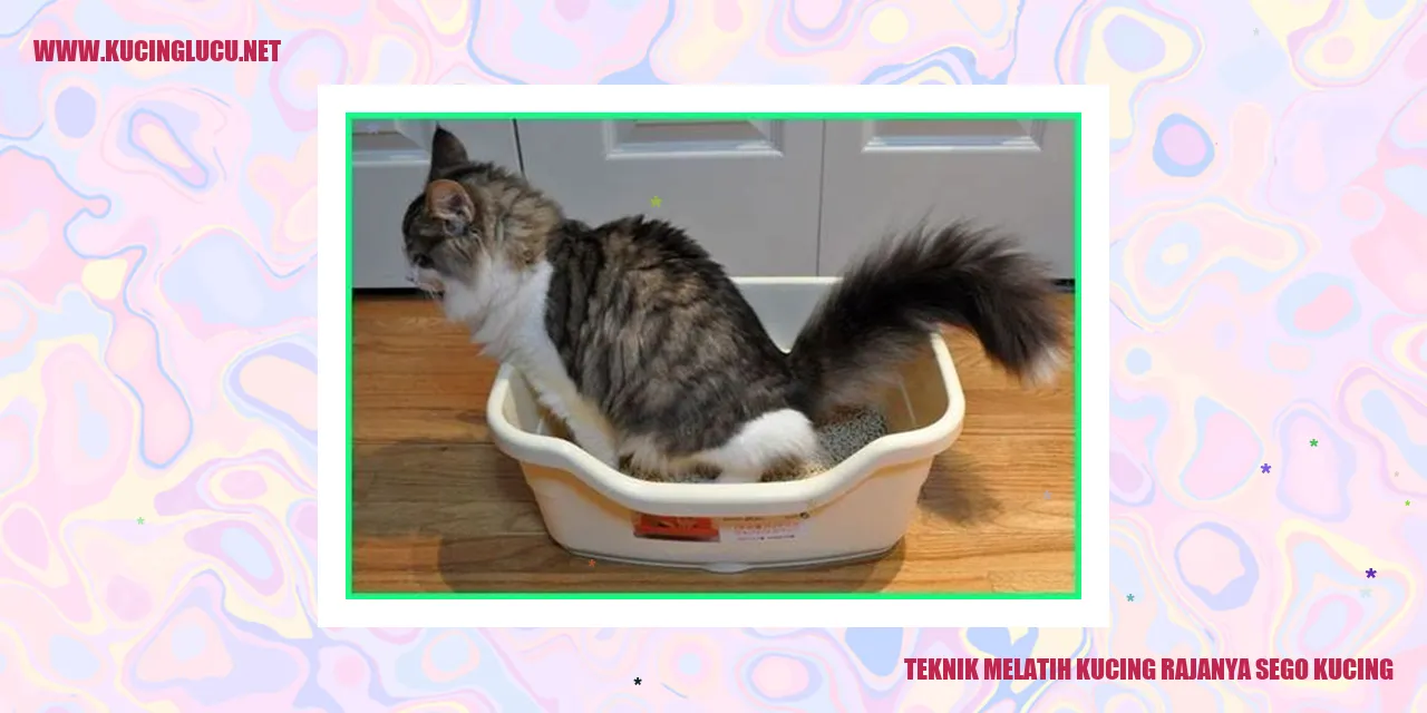 Gambar kucing sedang makan