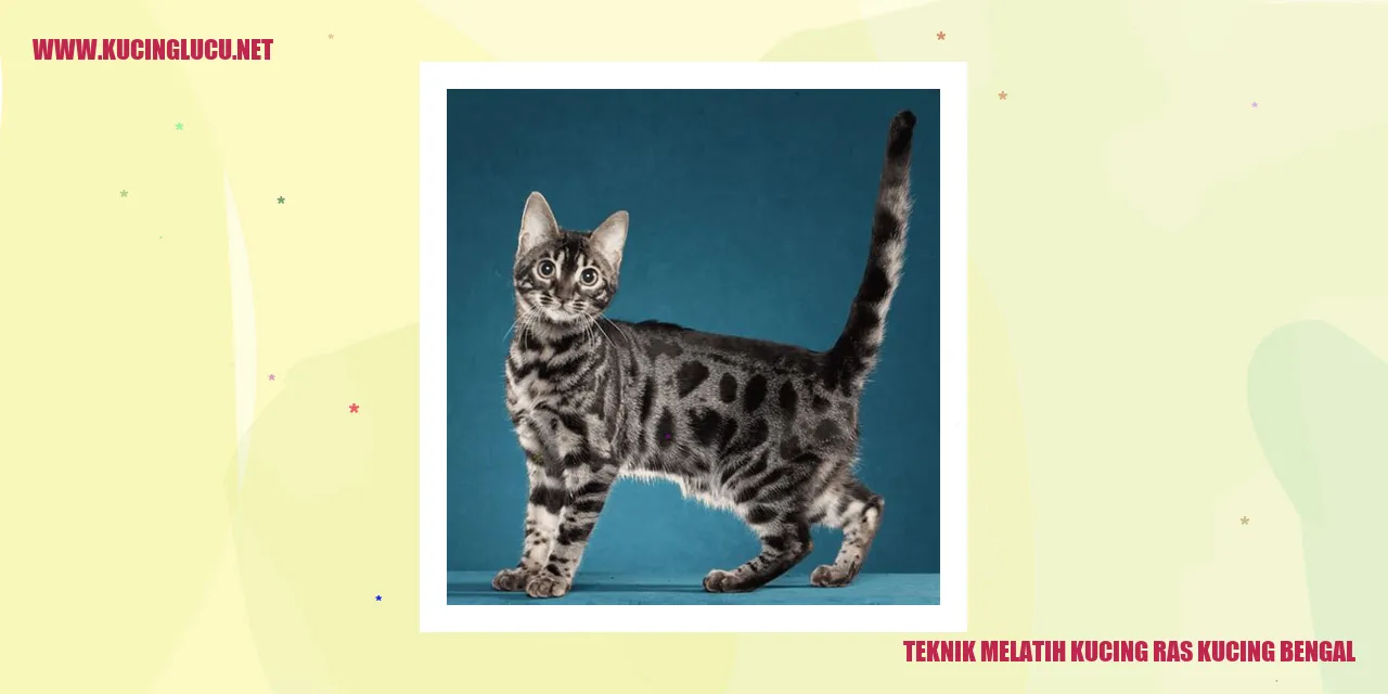 Teknik Melatih Kucing ras kucing bengal