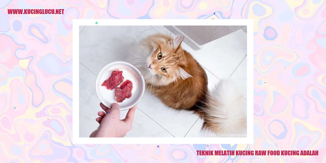 Kucing makan makanan mentah