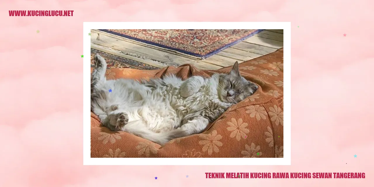 Gambar Kucing Lucu