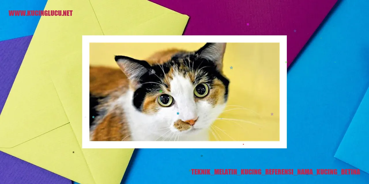 Kucing Betina