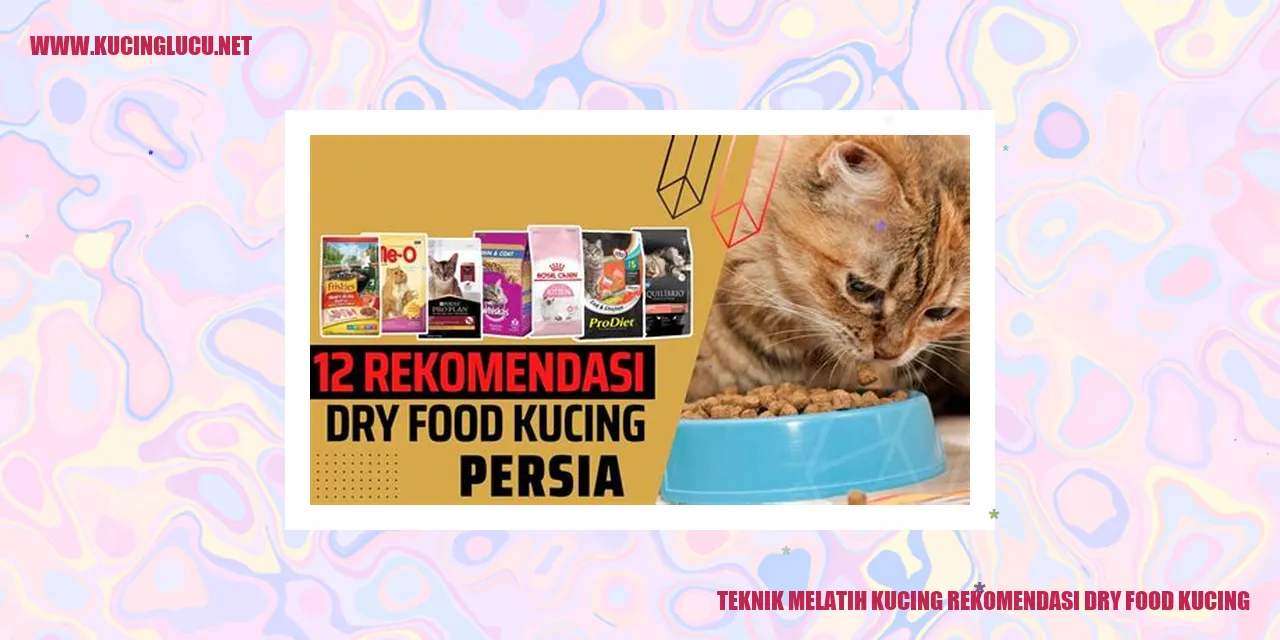 Dry Food Kucing