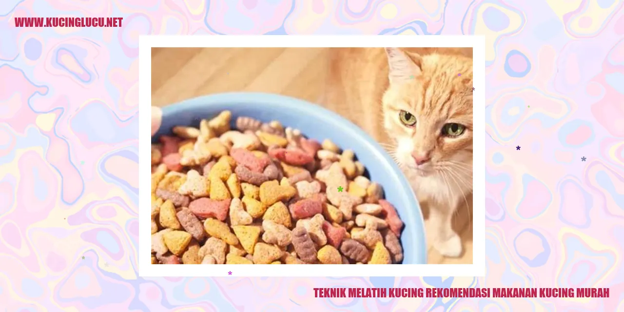 Gambar Kucing Makanan Murah