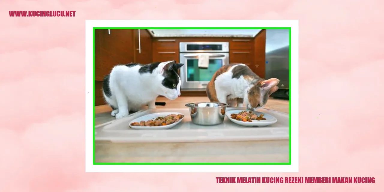 Kucing yang mendapatkan makanan