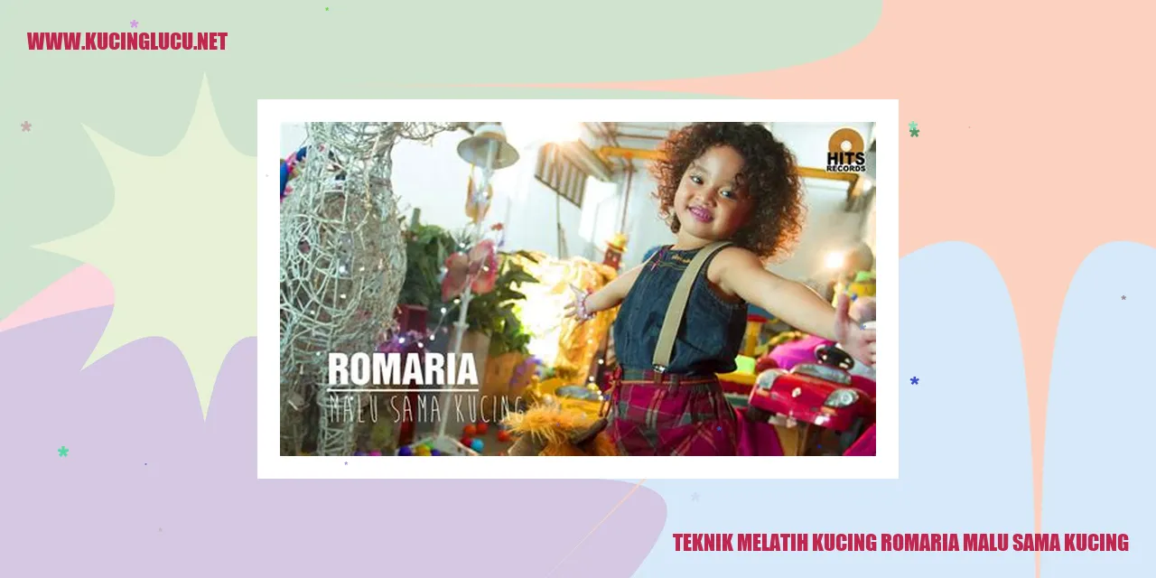 Kucing romaria malu sama kucing