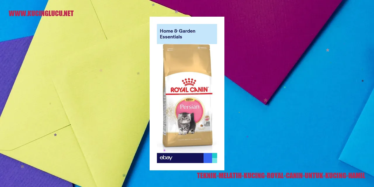 Teknik Melatih Kucing Royal Canin untuk Kucing Hamil