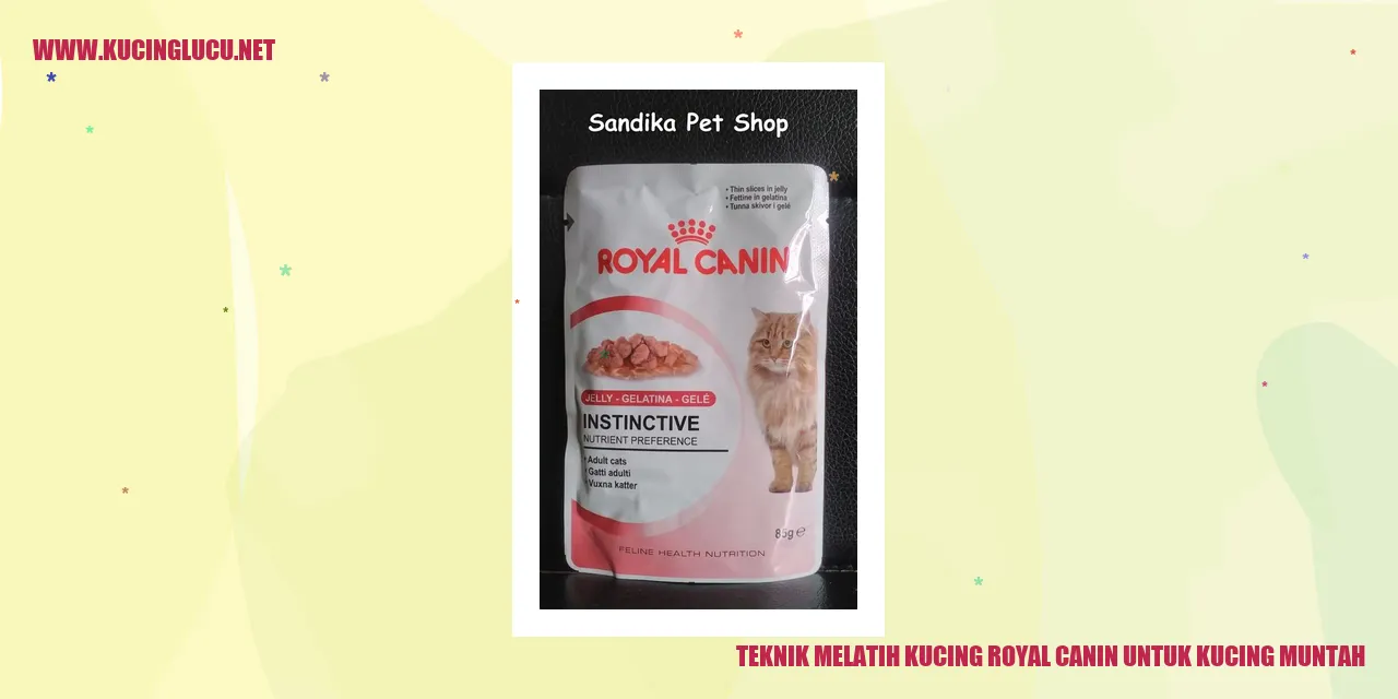 Gambar Kucing Muntah