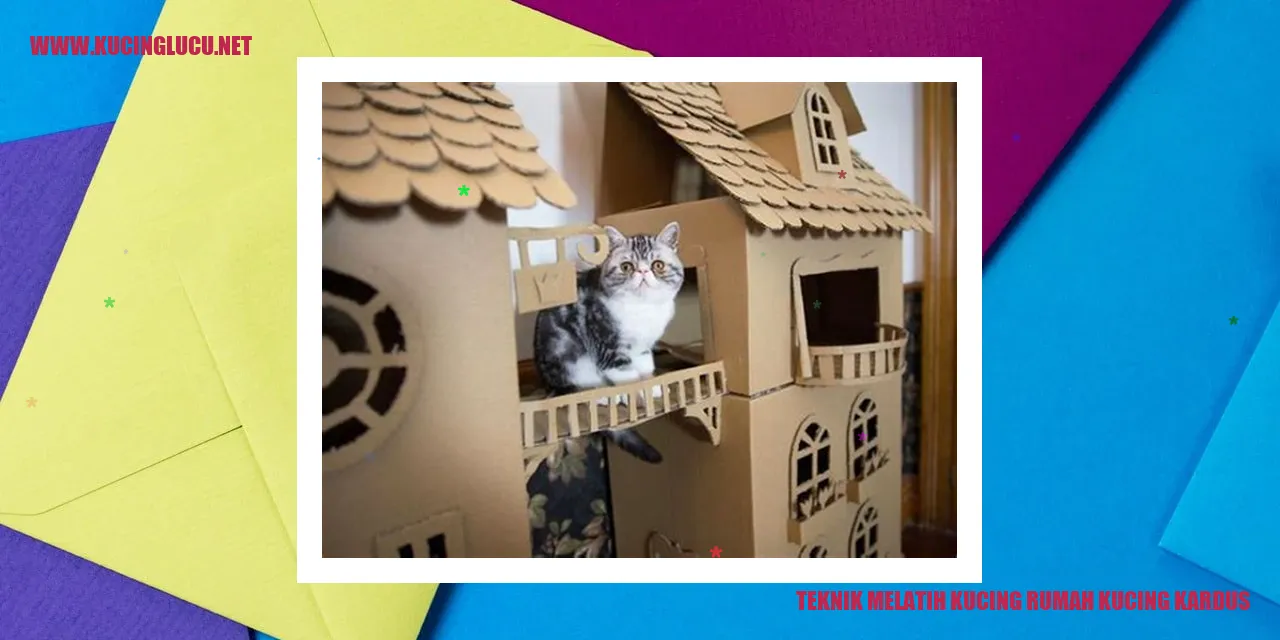 Melatih kucing rumah dengan kardus