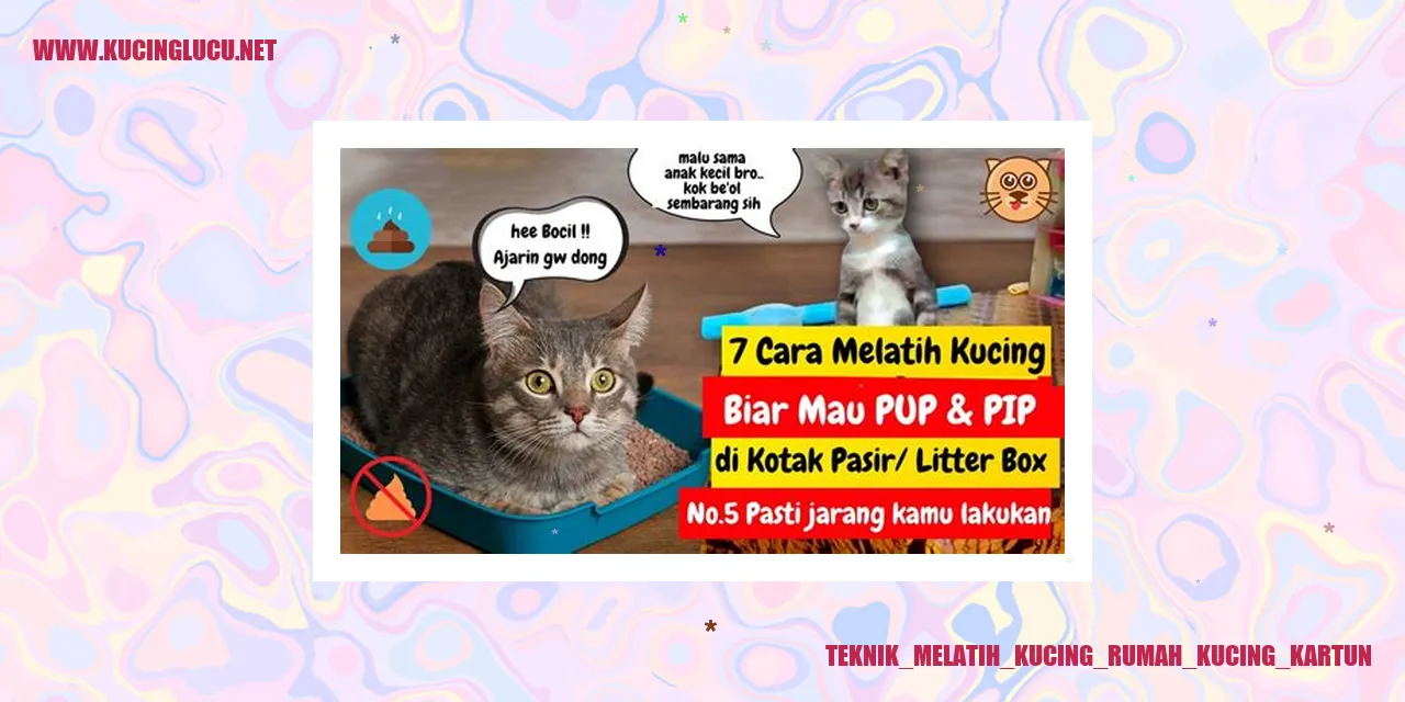 Melatih Kucing Rumah Kucing Kartun