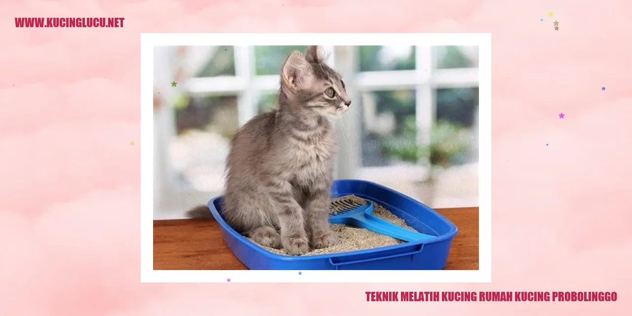 Teknik Melatih Kucing