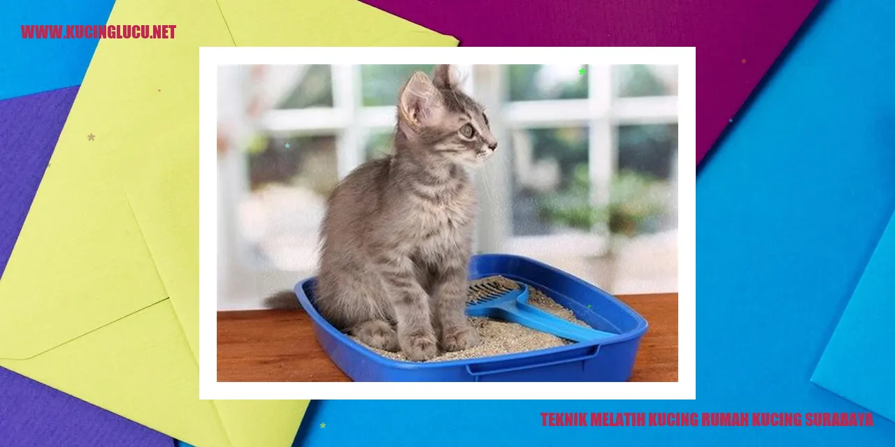 Kucing Surabaya