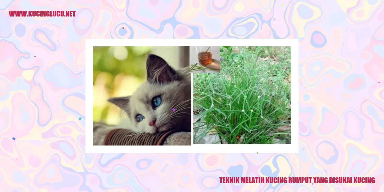 Gambar kucing yang menyukai rumput