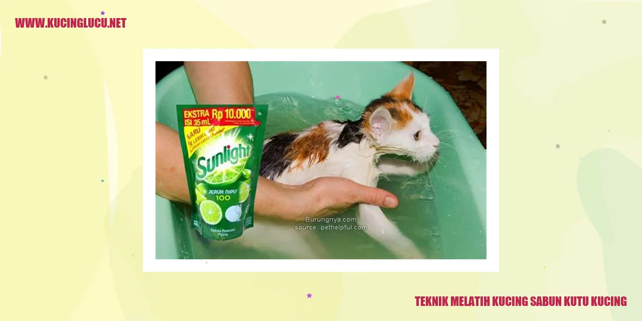 Gambar Kucing dengan Sabun Kutu Kucing