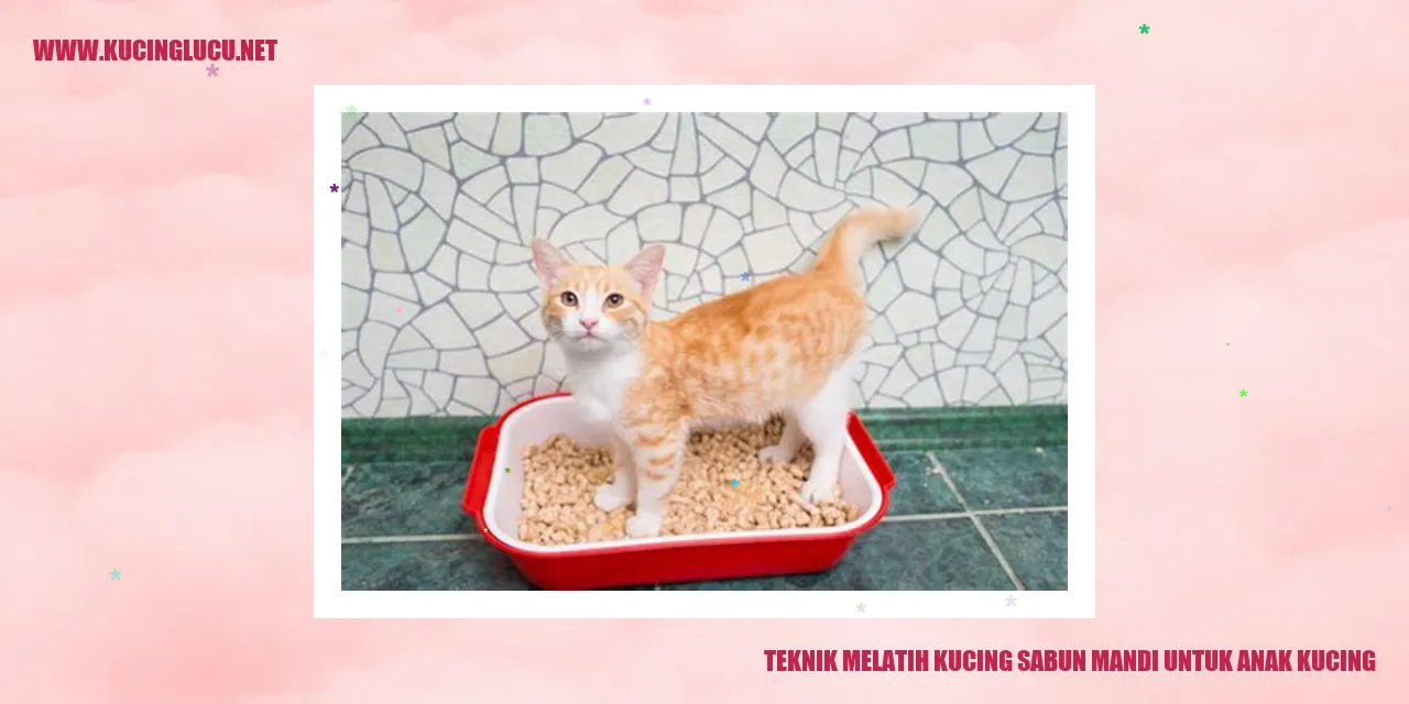 Teknik Mendidik Kucing kecil agar Bisa Mandi dengan Sabun