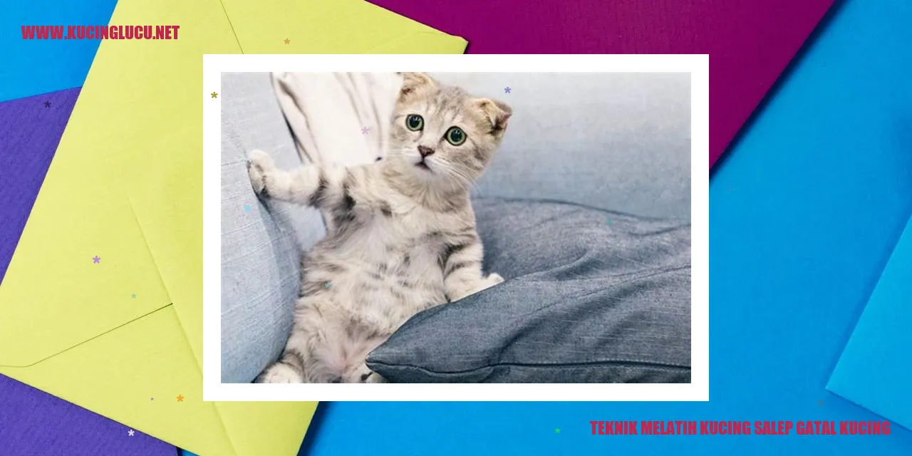Gambar Kucing