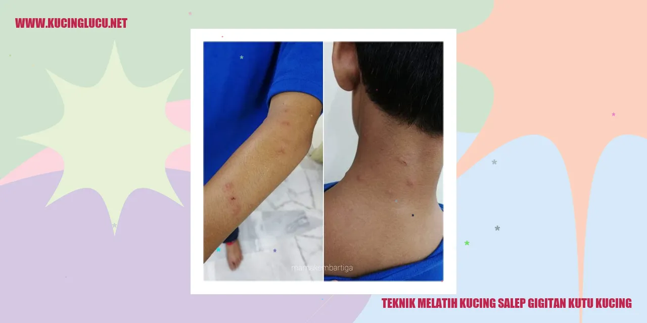 Kucing Menggunakan Salep Gigitan Kutu Kucing
