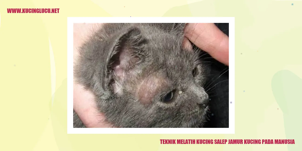 Kucing Menggunakan Salep Jamur Kucing pada Manusia