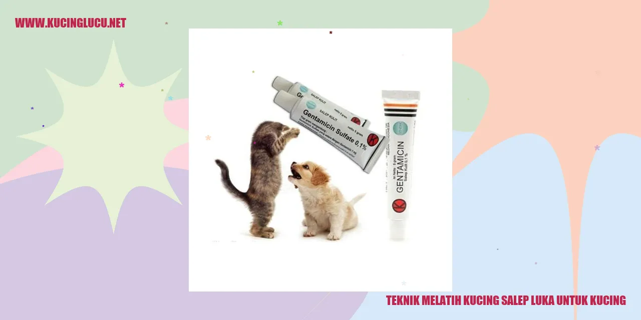Kucing Menggunakan Salep Luka