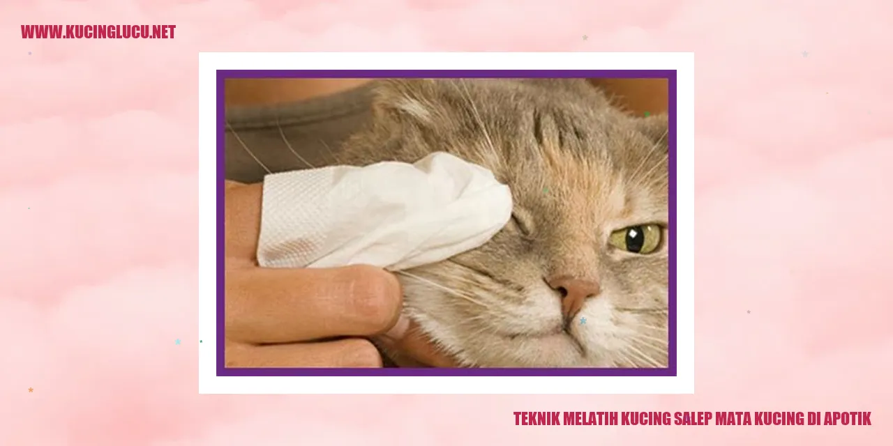 Gambarnya salep mata untuk kucing