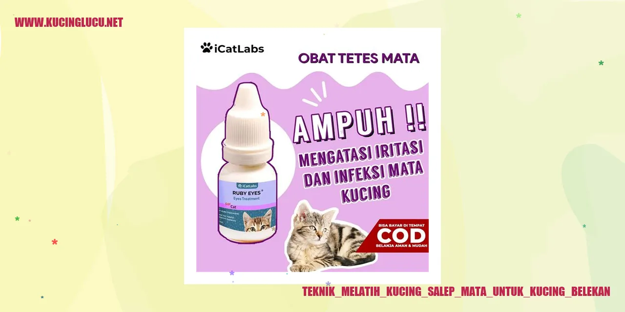 Kucing Belekan