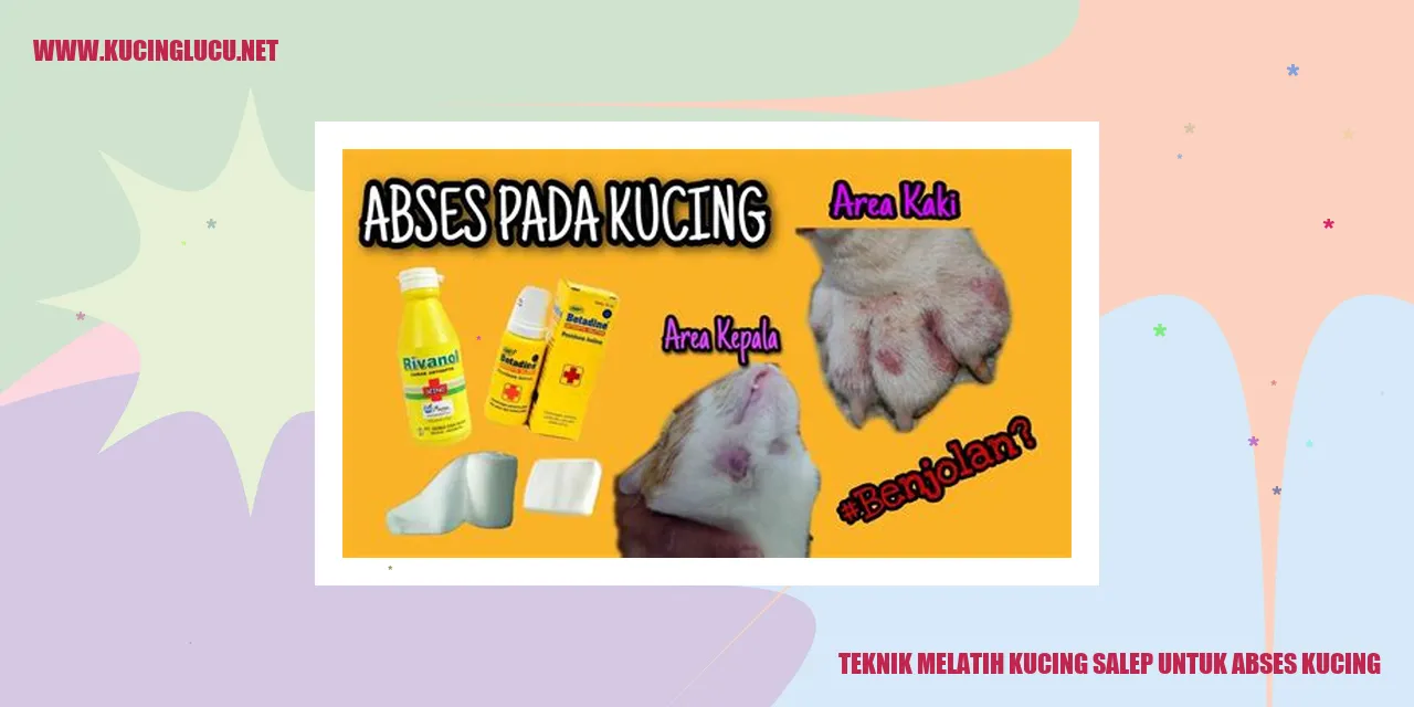Gambar Kucing Abses