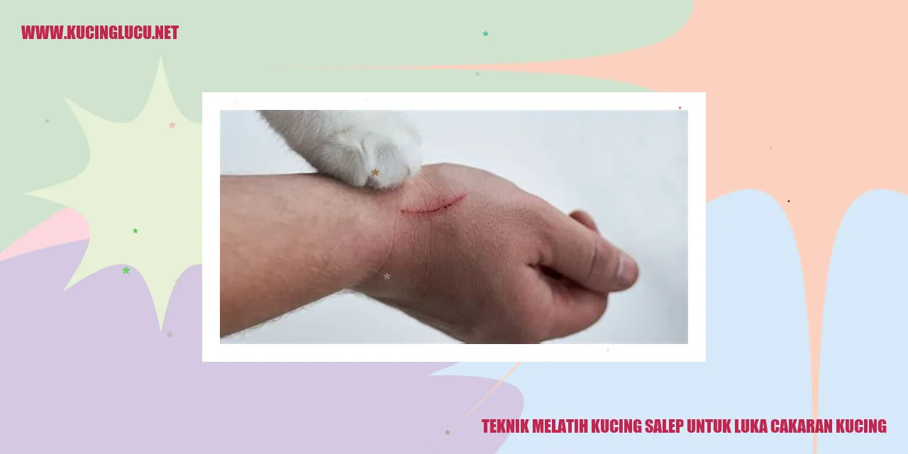 Gambar Kucing Menyentuh Salep