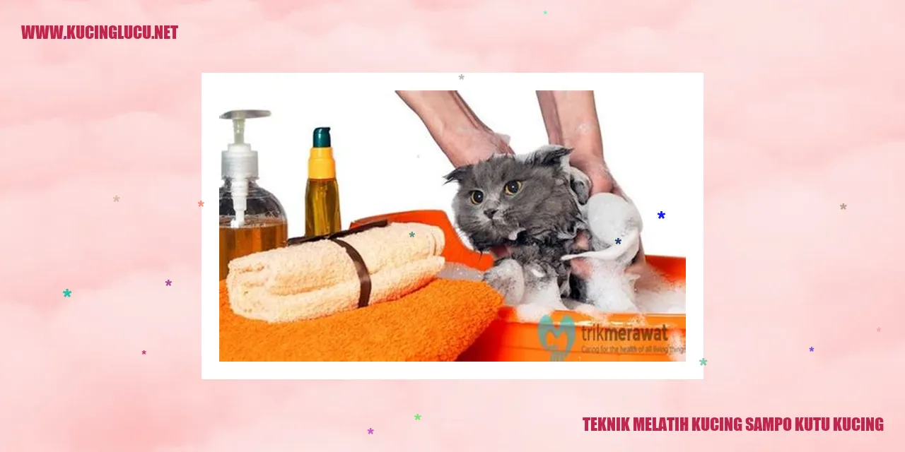 Teknik Melatih Kucing sampo kutu kucing