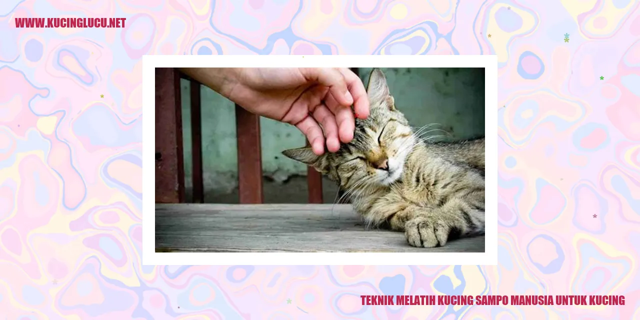 Gambar Kucing dengan botol sampo