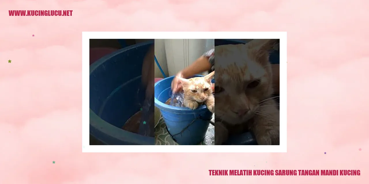 Sarung tangan mandi kucing