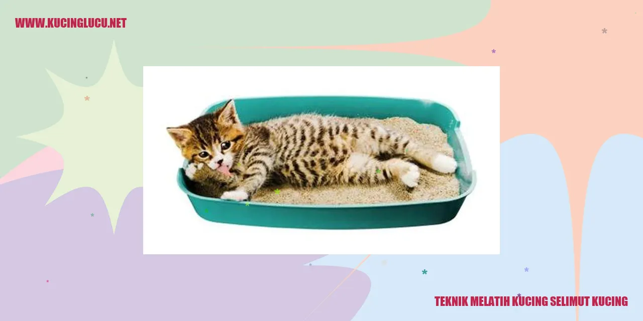 Kucing tidur enak di dalam selimut