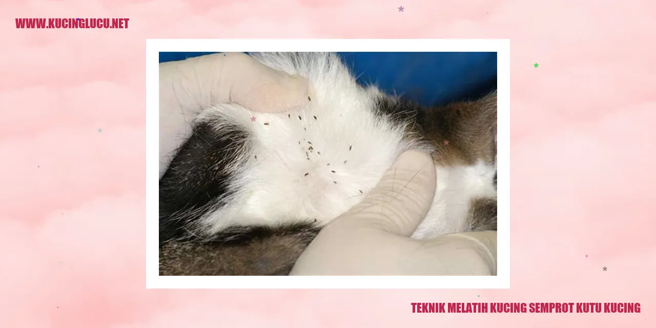 Kucing semprot kutu kucing