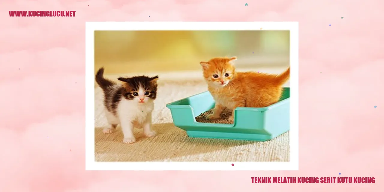 Kucing serit kutu kucing