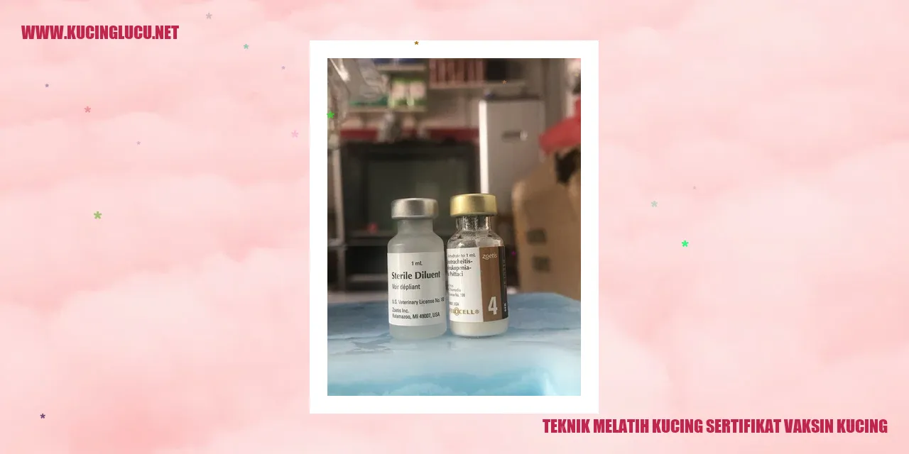Teknik Melatih Kucing