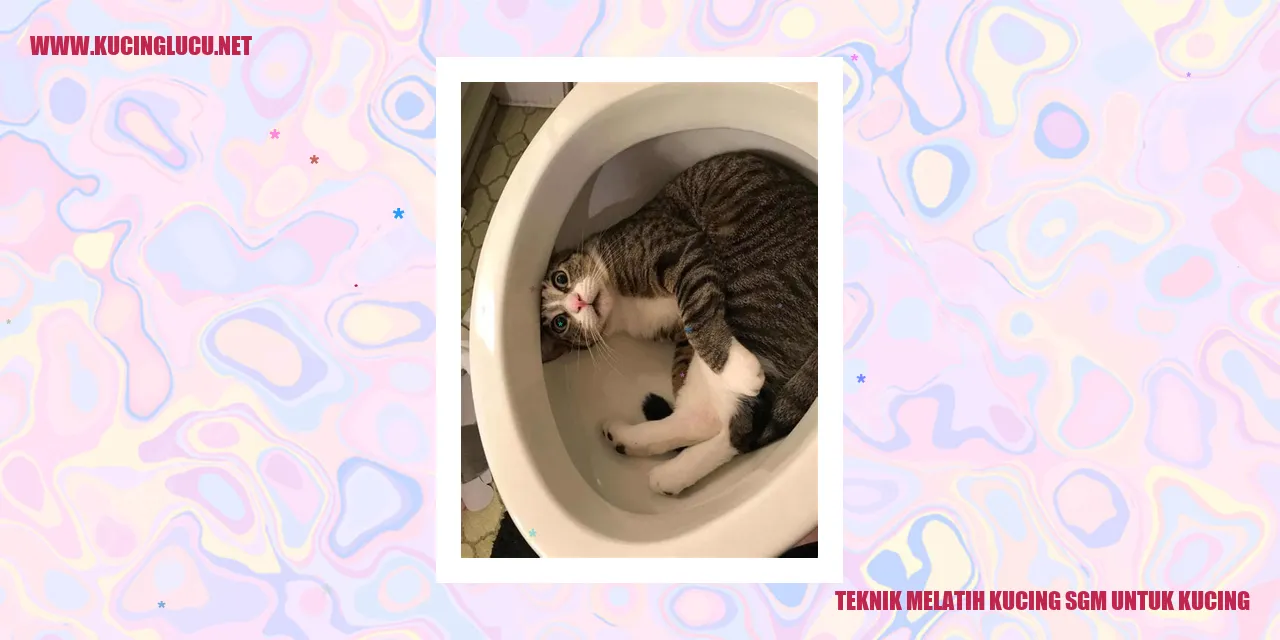 Teknik Melatih Kucing