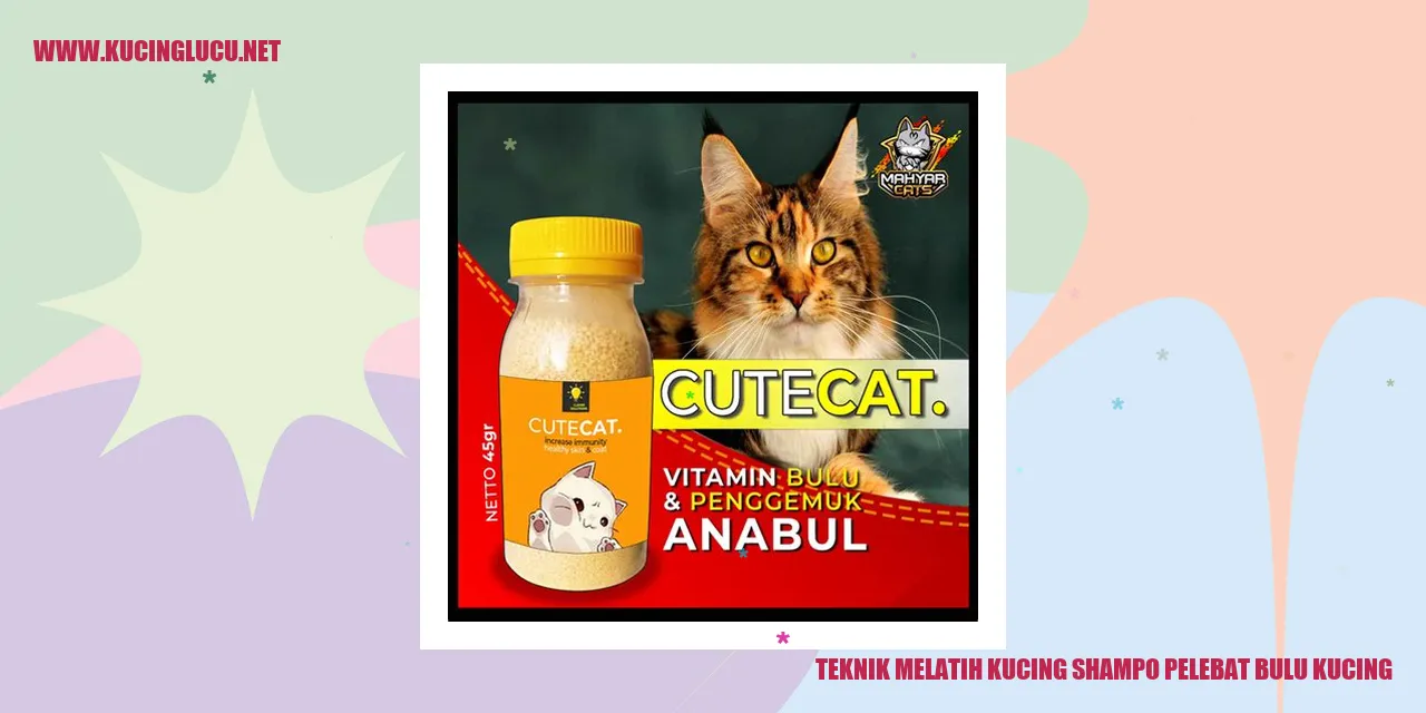 gambar kucing dengan bulu lebat