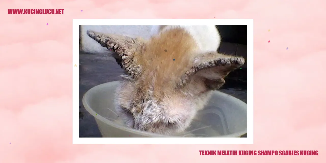 Teknik Melatih Kucing Shampo Scabies Kucing