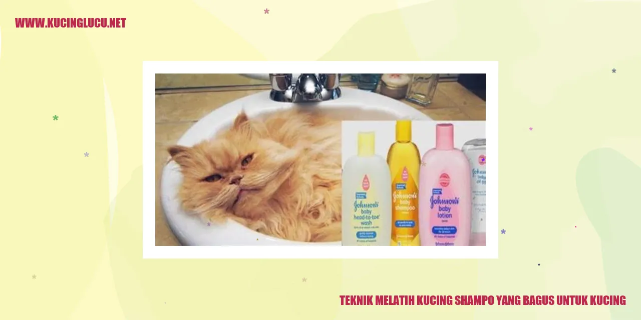 Gambar: Teknik Mengajari Kucing agar Nyaman saat Dibasuh dengan Shampo yang Berkualitas