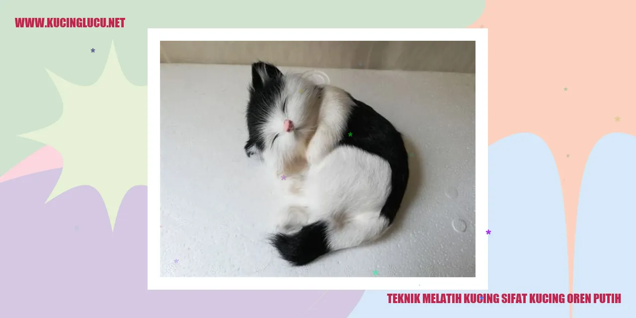 Gambar kucing oren putih yang cantik