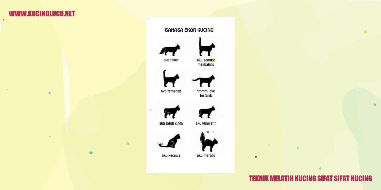Kucing menggemaskan
