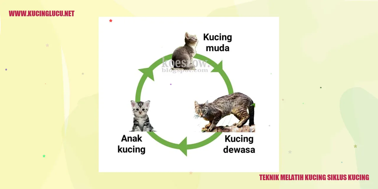 Gambar Kucing