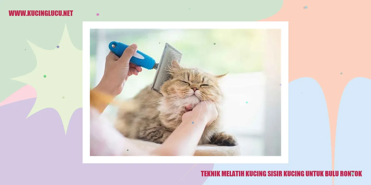 Teknik Melatih Kucing Sisir Kucing untuk Bulu Rontok