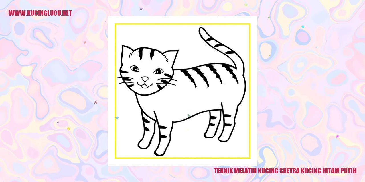 Gambar sketsa kucing hitam putih