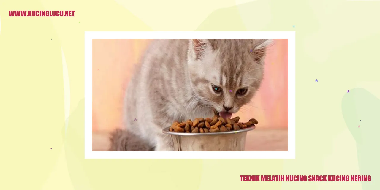 Gambar kucing makan snack